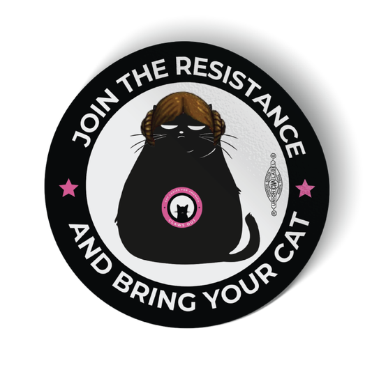 Space Buns Cat (3.5" x 3.5" Vinyl Sticker -- Combo Pack of Two!)
