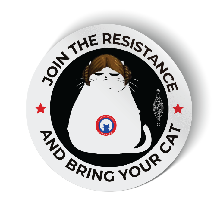 Space Buns Cat (3.5" x 3.5" Vinyl Sticker -- Combo Pack of Two!)