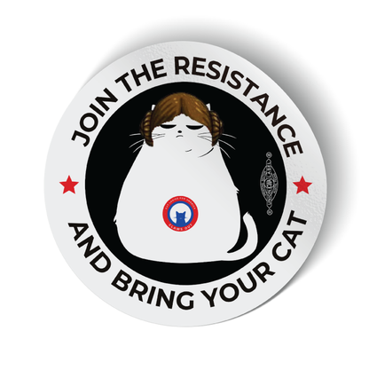Space Buns Cat (3.5" x 3.5" Vinyl Sticker -- Combo Pack of Two!)