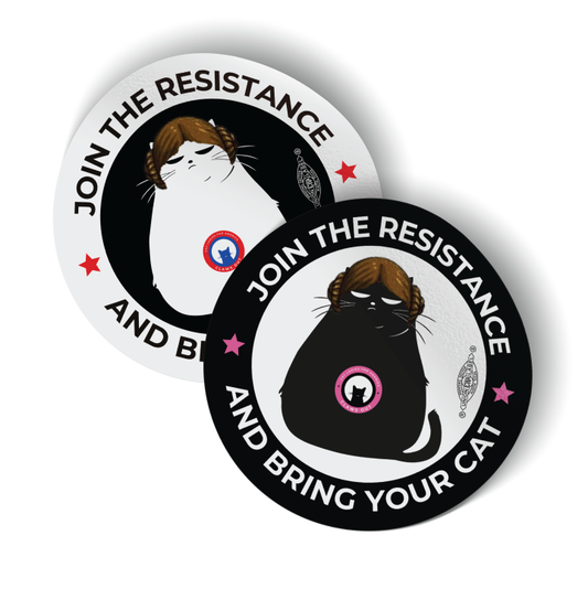Space Buns Cat (3.5" x 3.5" Vinyl Sticker -- Combo Pack of Two!)